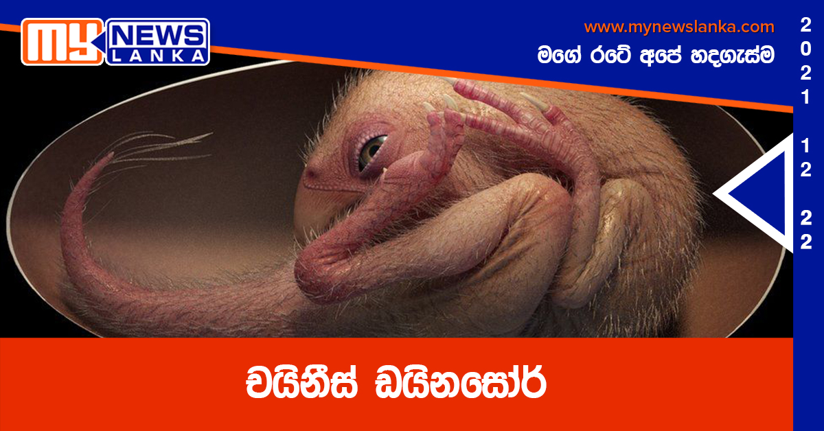 චයිනීස් ඩයිනසෝර්