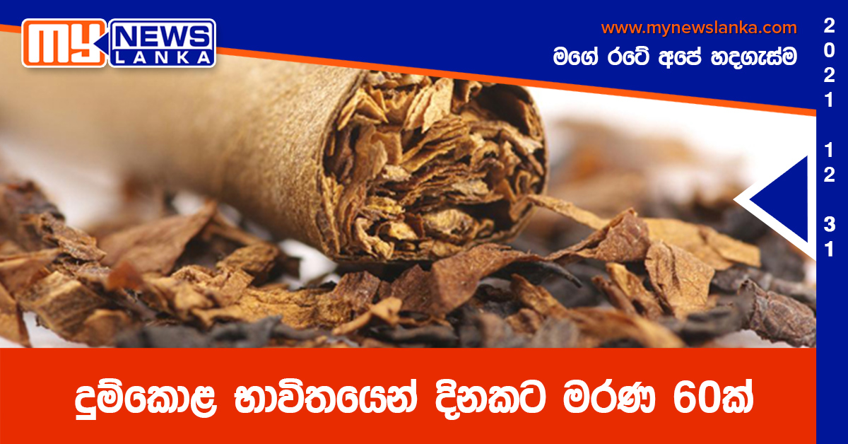 දුම්කොළ භාවිතයෙන් දිනකට මරණ 60ක් දුම්කොළ භාවිතයෙන් දිනකට මරණ 60ක්