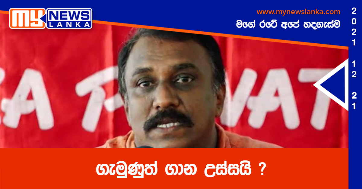ගැමුණුත් ගාන උස්සයි ? ගැමුණුත් ගාන උස්සයි ?