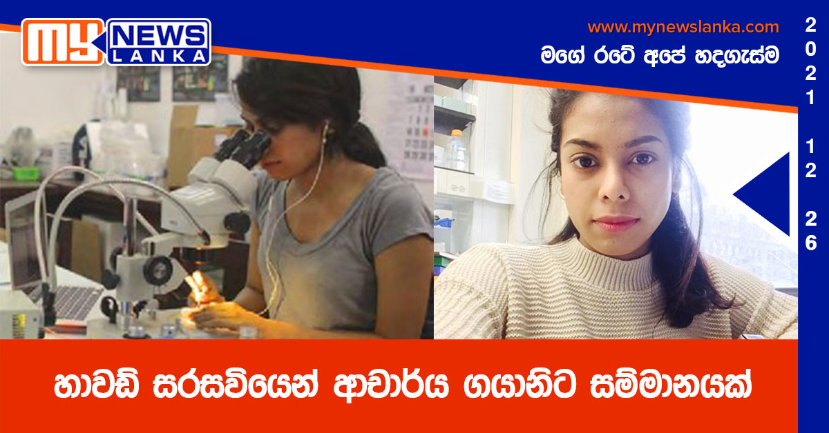 හාවඩ් සරසවියෙන් ආචාර්ය ගයානිට සම්මානයක්