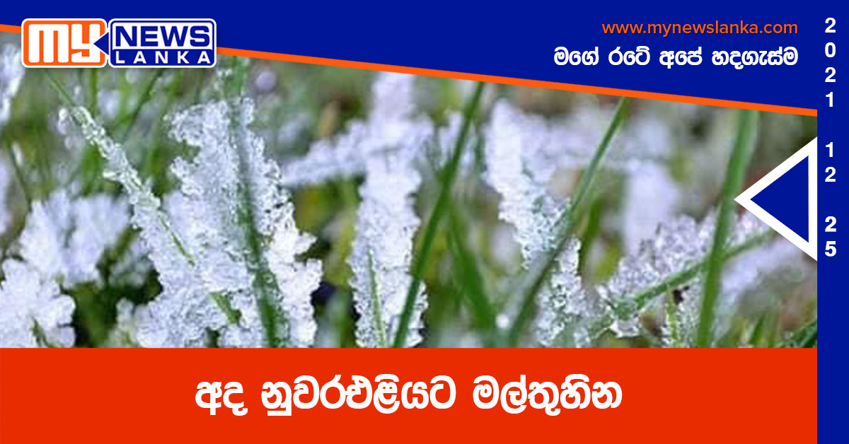 අද නුවරඑළියට මල්තුහින අද නුවරඑළියට මල්තුහින