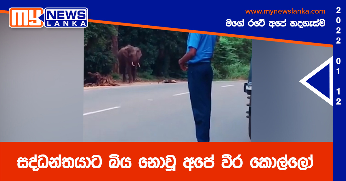 සද්ධන්තයාට බිය නොවූ අපේ වීර කොල්ලෝ (වීඩියෝ ) සද්ධන්තයාට බිය නොවූ අපේ වීර කොල්ලෝ (වීඩියෝ )