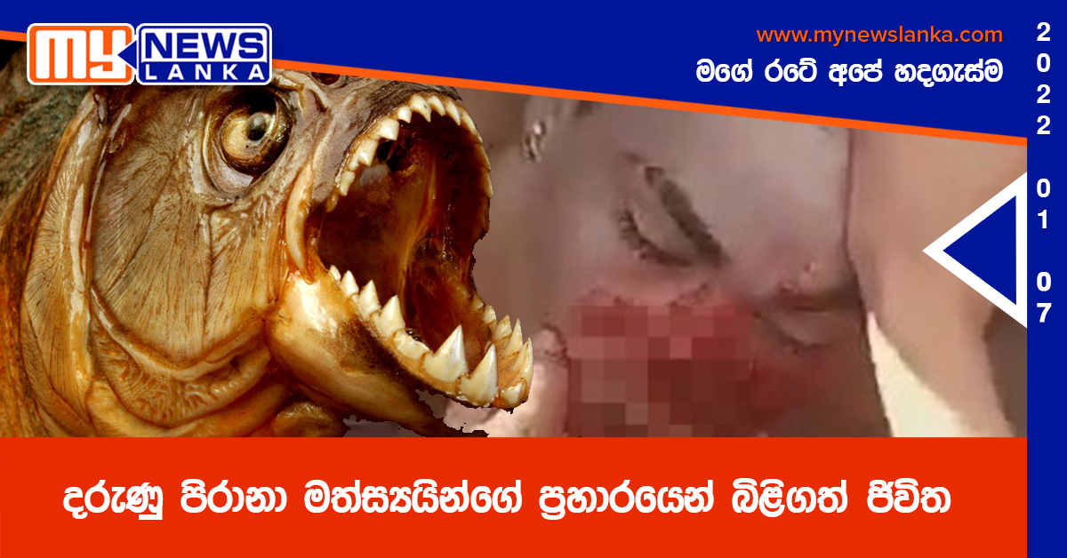 දරුණු පිරානා මත්ස්‍යයින්ගේ ප්‍රහාරයෙන් බිළිගත් ජිවිත