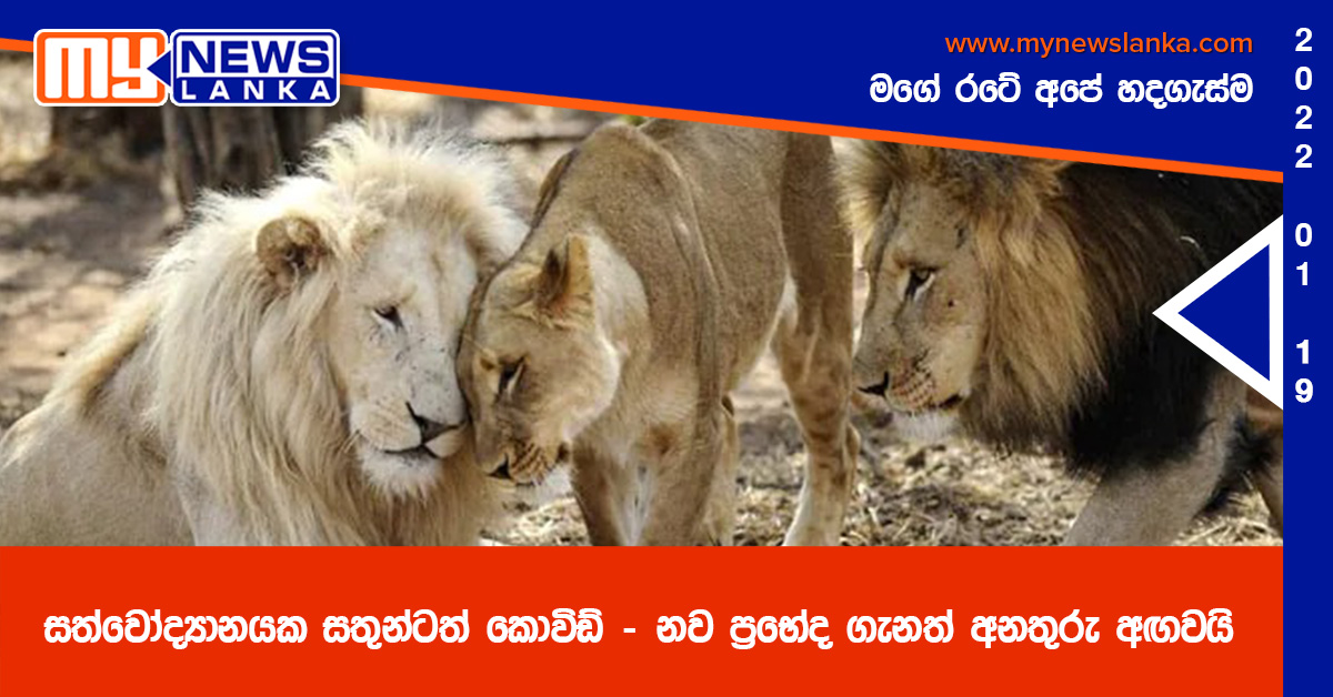 සත්වෝද්යානයක සතුන්ටත් කොවිඩ් – නව ප්රභේද ගැනත් අනතුරු අඟවයි සත්වෝද්යානයක සතුන්ටත් කොවිඩ් – නව ප්රභේද ගැනත් අනතුරු අඟවයි