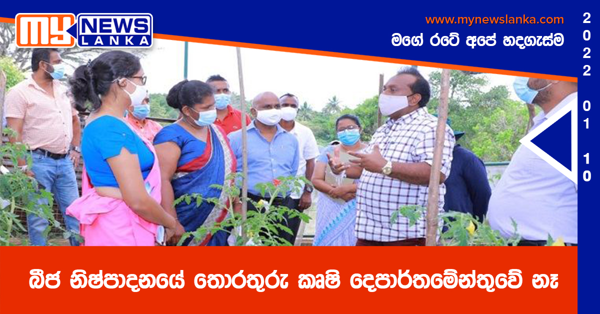 බීජ නිෂ්පාදනයේ තොරතුරු කෘෂි දෙපාර්තමේන්තුවේ නෑ බීජ නිෂ්පාදනයේ තොරතුරු කෘෂි දෙපාර්තමේන්තුවේ නෑ