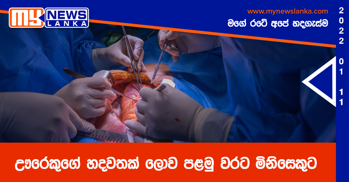 ඌරෙකුගේ හදවතක් ලොව පළමු වරට මිනිසෙකුට