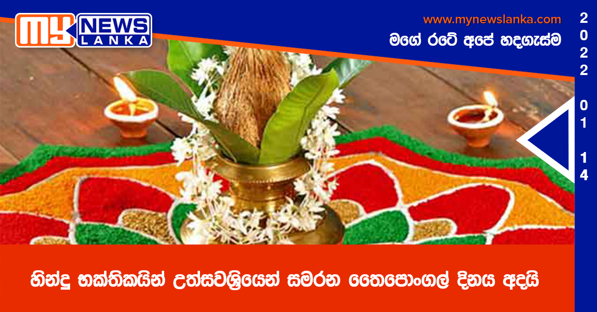 හින්දු භක්තිකයින් උත්සවශ්‍රියෙන් සමරන තෛපොංගල් දිනය අදයි