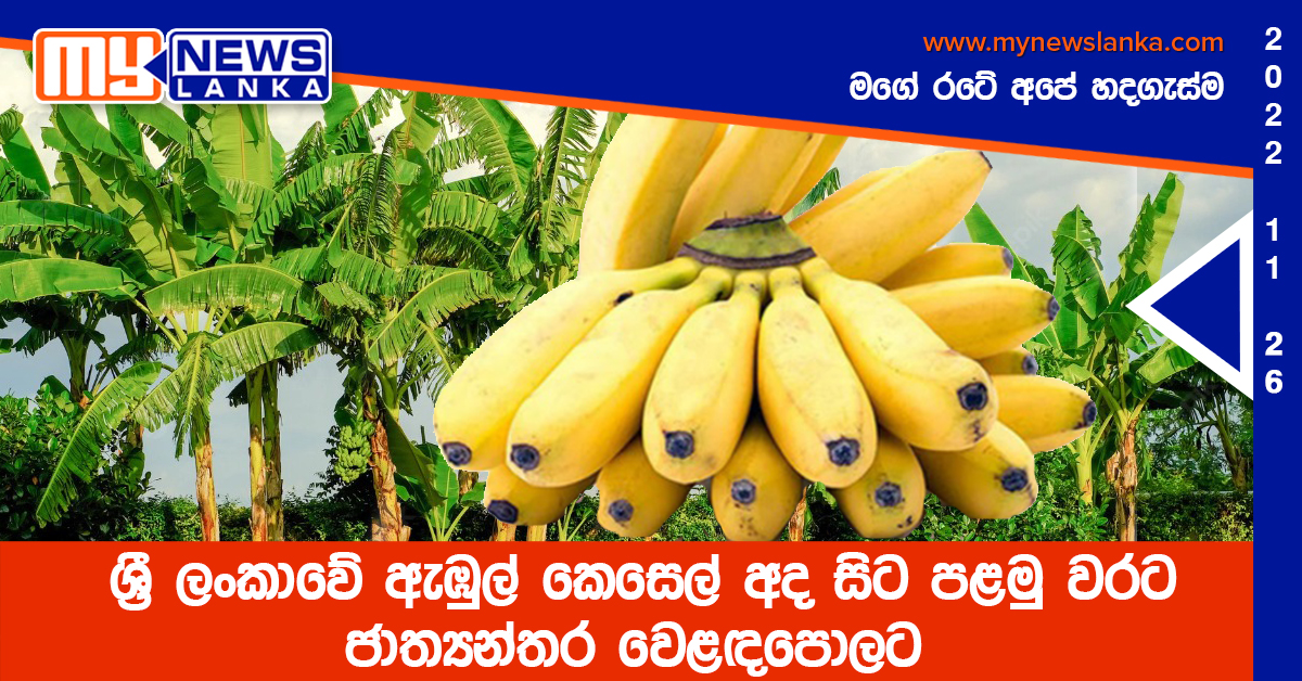 ශ්රී ලංකාවේ ඇඹුල් කෙසෙල් අද සිට පළමු වරට ජාත්යන්තර වෙළඳපොලට ශ්රී ලංකාවේ ඇඹුල් කෙසෙල් අද සිට පළමු වරට ජාත්යන්තර වෙළඳපොලට