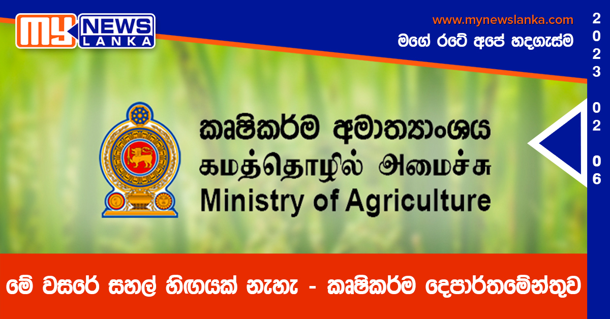 මේ වසරේ සහල් හිඟයක් නැහැ – කෘෂිකර්ම දෙපාර්තමේන්තුව මේ වසරේ සහල් හිඟයක් නැහැ – කෘෂිකර්ම දෙපාර්තමේන්තුව
