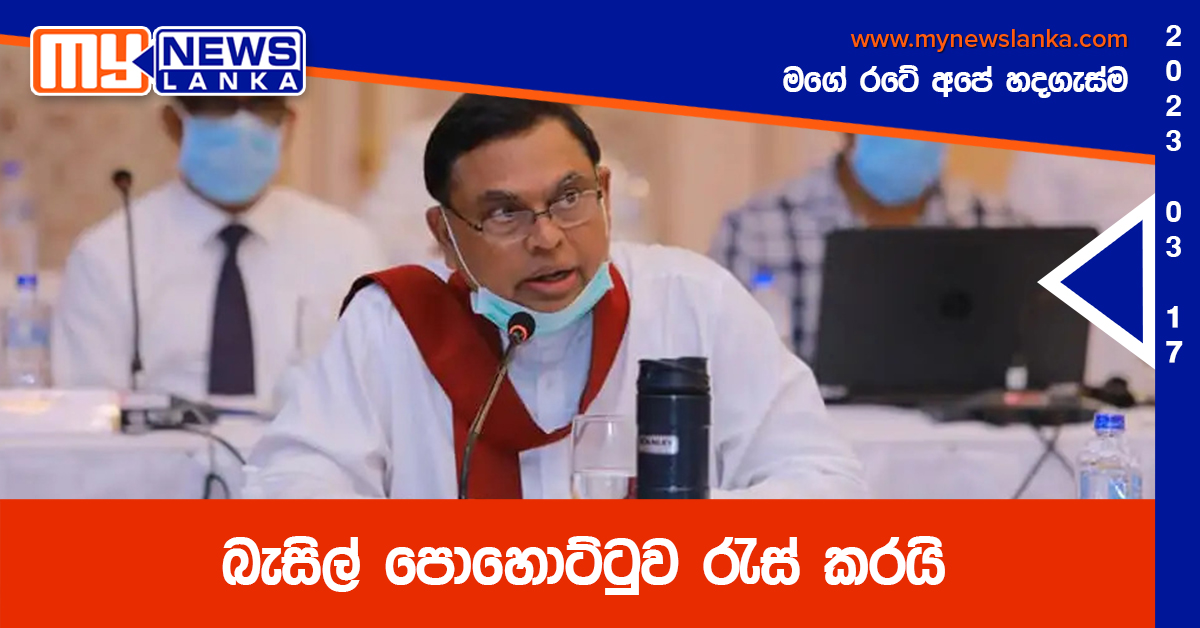 බැසිල් පොහොට්ටුව රැස් කරයි බැසිල් පොහොට්ටුව රැස් කරයි