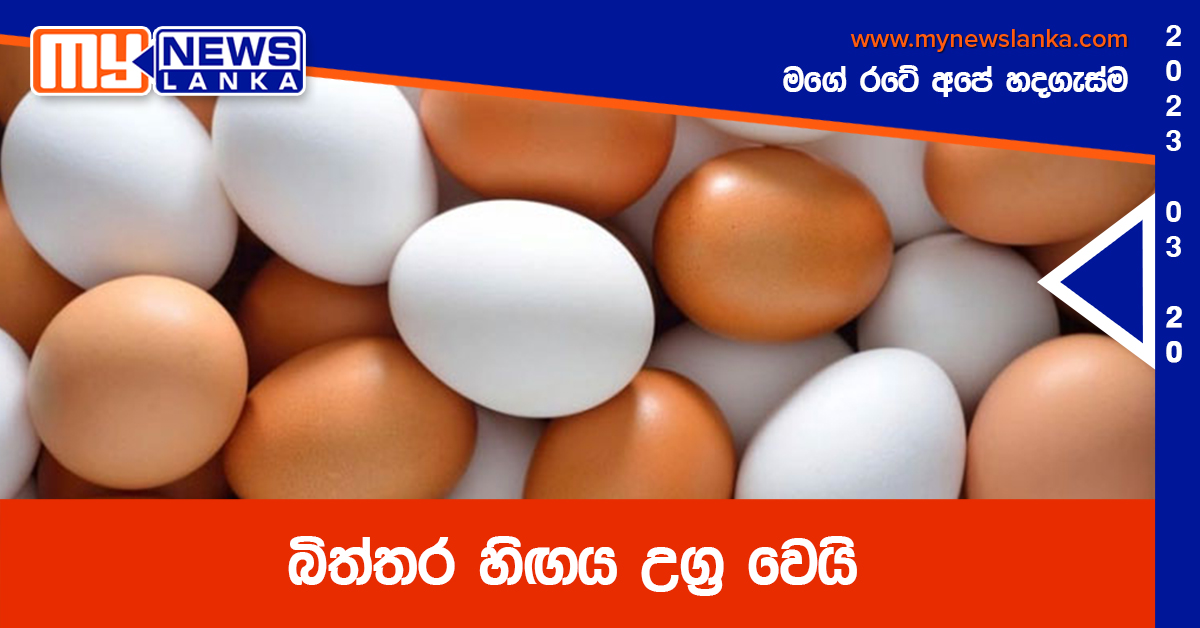 බිත්තර හිඟය උග්‍ර වෙයි