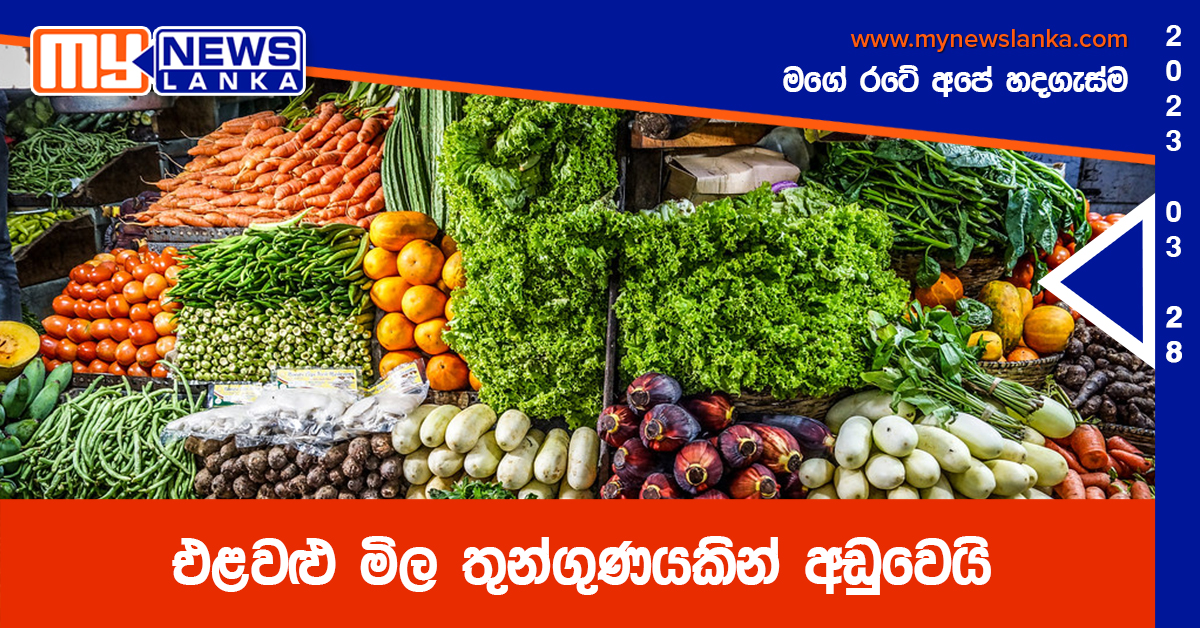 එළවළු මිල තුන්ගුණයකින් අඩුවෙයි