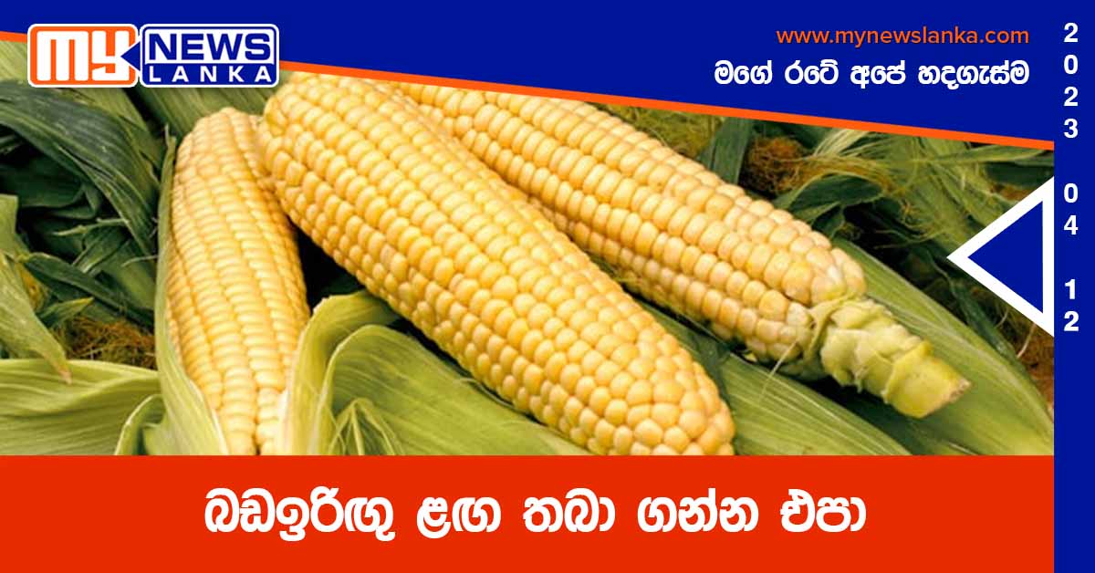 බඩඉරිඟු ළඟ තබා ගන්න එපා