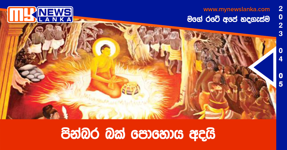 පින්බර බක් පොහොය අදයි පින්බර බක් පොහොය අදයි