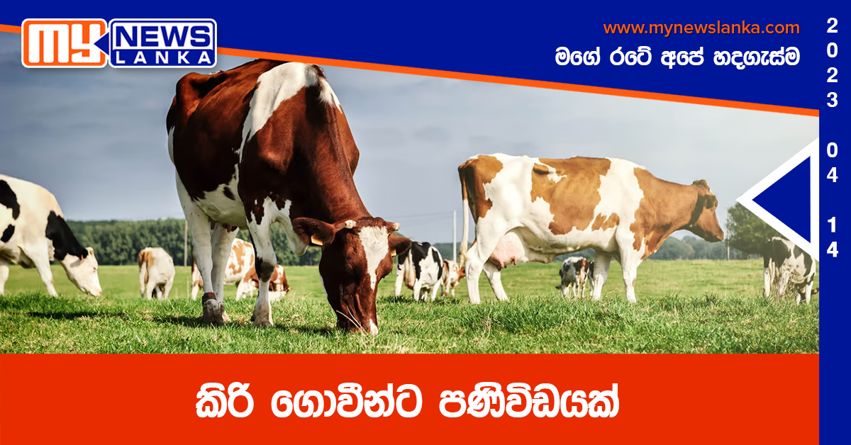 කිරි ගොවීන්ට පණිවිඩයක්