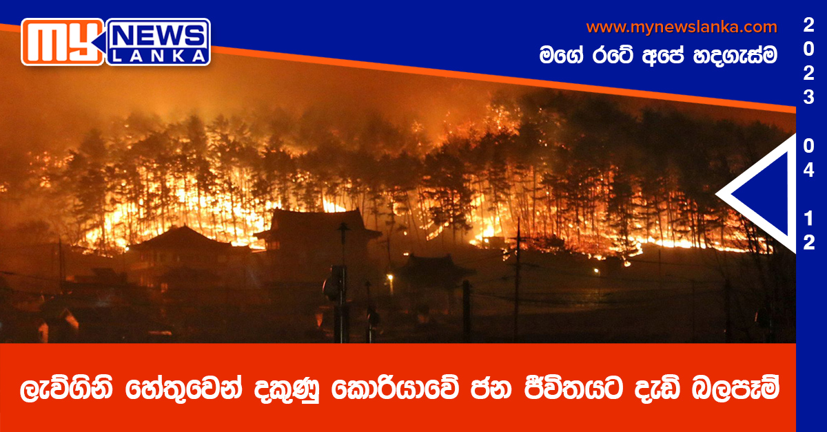 ලැව්ගිනි හේතුවෙන් දකුණු කොරියාවේ ජන ජීවිතයට දැඩි බලපෑම් ලැව්ගිනි හේතුවෙන් දකුණු කොරියාවේ ජන ජීවිතයට දැඩි බලපෑම්