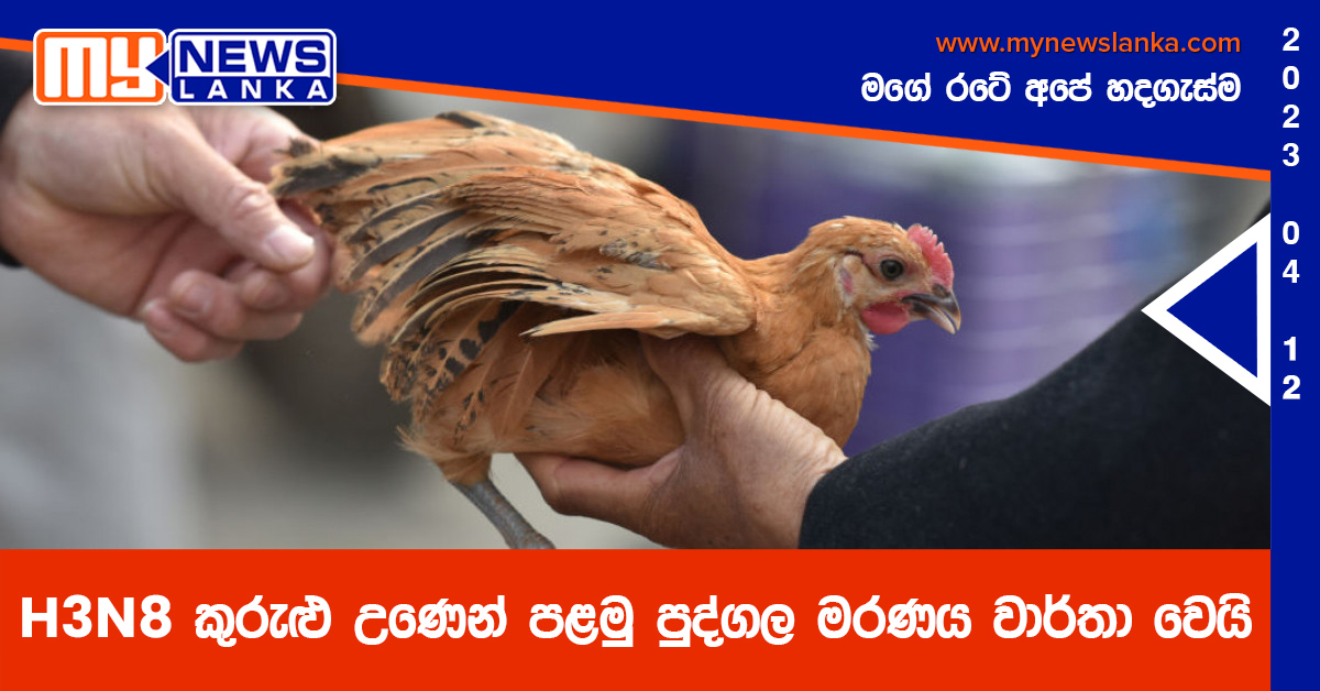 H3N8 කුරුළු උණෙන් පළමු පුද්ගල මරණය වාර්තා වෙයි H3N8 කුරුළු උණෙන් පළමු පුද්ගල මරණය වාර්තා වෙයි