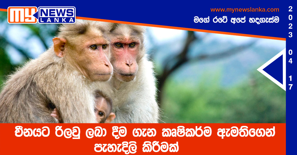 චීනයට රිලවු ලබා දීම ගැන කෘෂිකර්ම ඇමතිගෙන් පැහැදිලි කිරීමක් චීනයට රිලවු ලබා දීම ගැන කෘෂිකර්ම ඇමතිගෙන් පැහැදිලි කිරීමක්