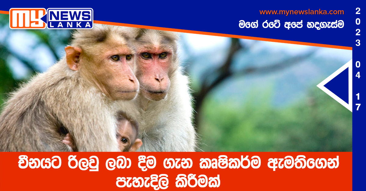 චීනයට රිලවු ලබා දීම ගැන කෘෂිකර්ම ඇමතිගෙන් පැහැදිලි කිරීමක්