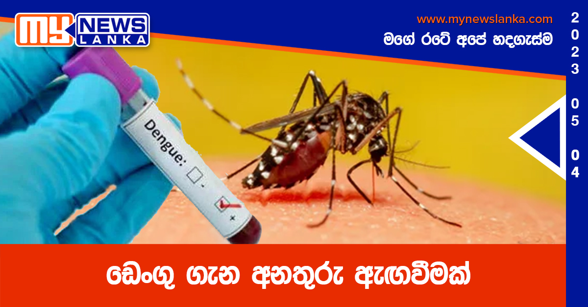 ඩෙංගු ගැන අනතුරු ඇඟවීමක් ඩෙංගු ගැන අනතුරු ඇඟවීමක්