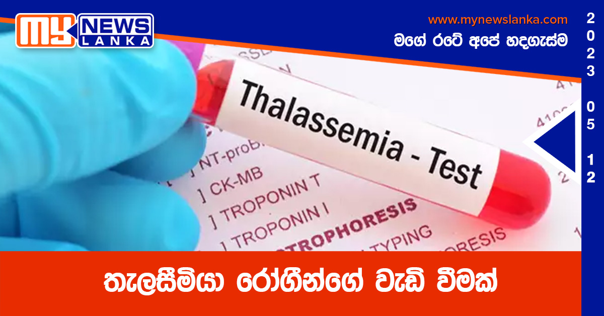 තැලසීමියා රෝගීන්ගේ වැඩි වීමක් තැලසීමියා රෝගීන්ගේ වැඩි වීමක්