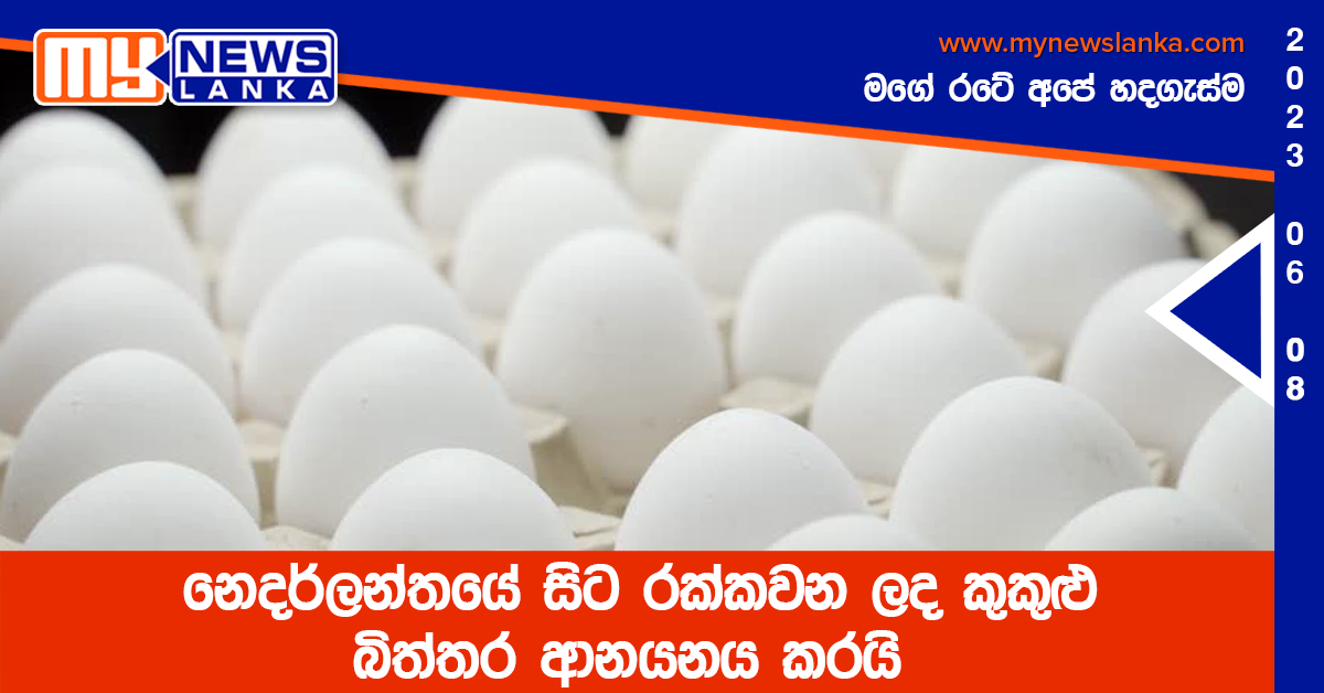 නෙදර්ලන්තයේ සිට රක්කවන ලද කුකුළු බිත්තර ආනයනය කරයි