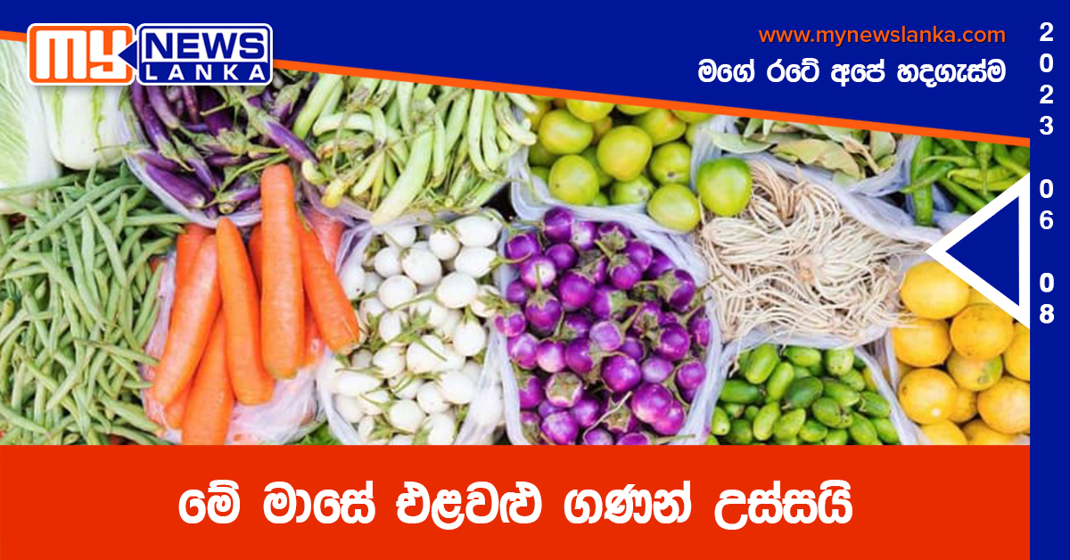 මේ මාසේ එළවළු ගණන් උස්සයි මේ මාසේ එළවළු ගණන් උස්සයි