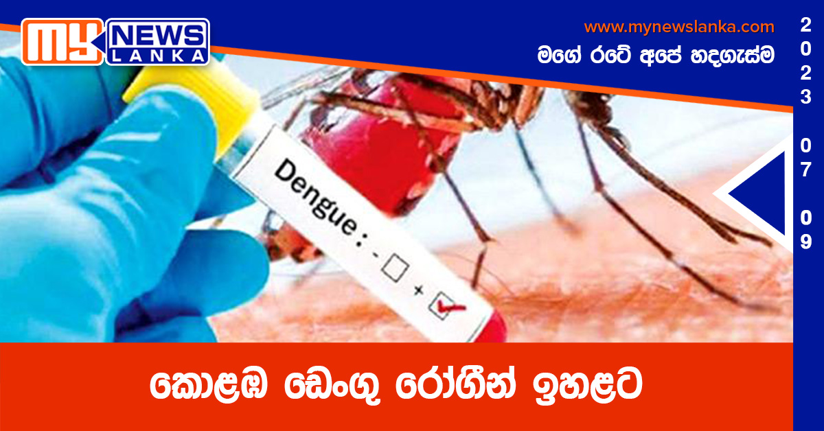 කොළඹ ඩෙංගු රෝගීන් ඉහළට කොළඹ ඩෙංගු රෝගීන් ඉහළට