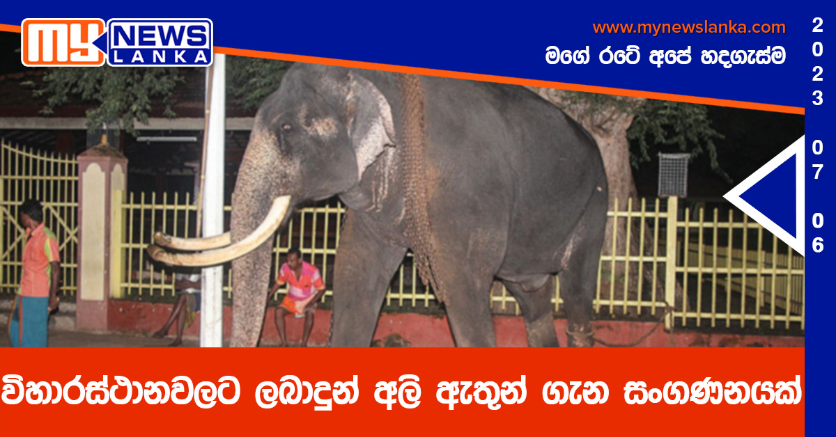 විහාරස්ථානවලට ලබාදුන් අලි ඇතුන් ගැන සංගණනයක් විහාරස්ථානවලට ලබාදුන් අලි ඇතුන් ගැන සංගණනයක්