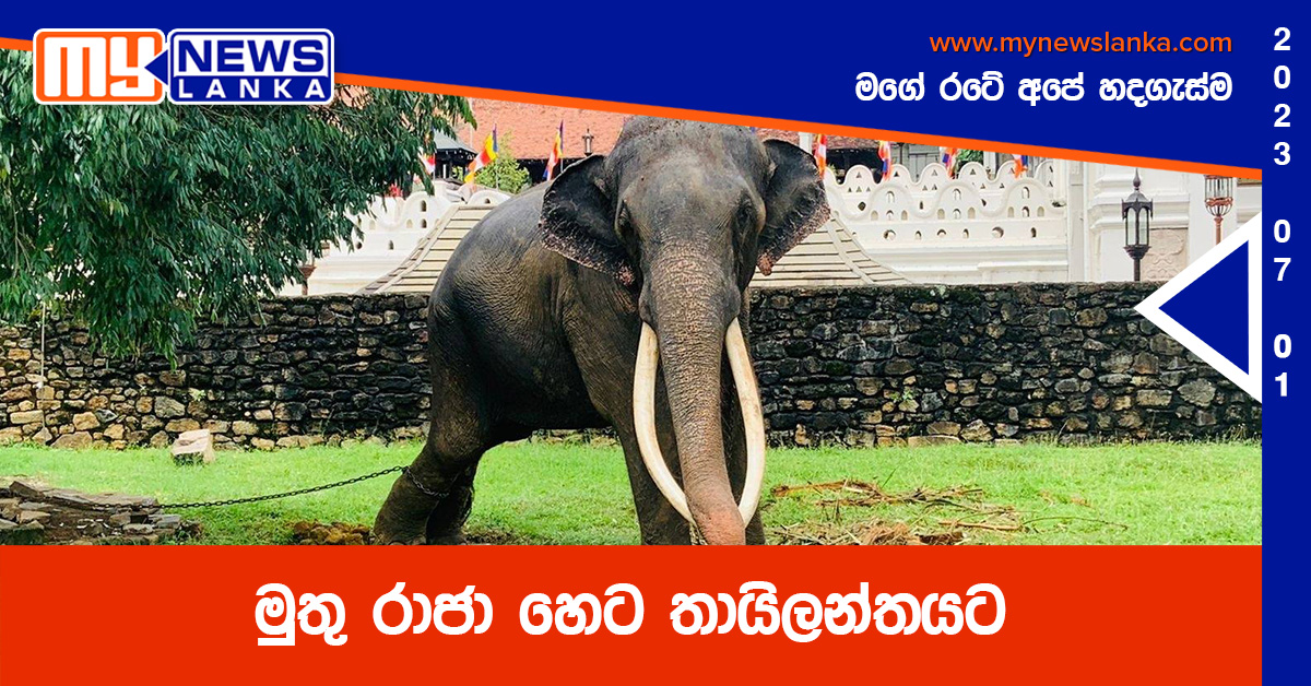 මුතු රාජා හෙට තායිලන්තයට මුතු රාජා හෙට තායිලන්තයට