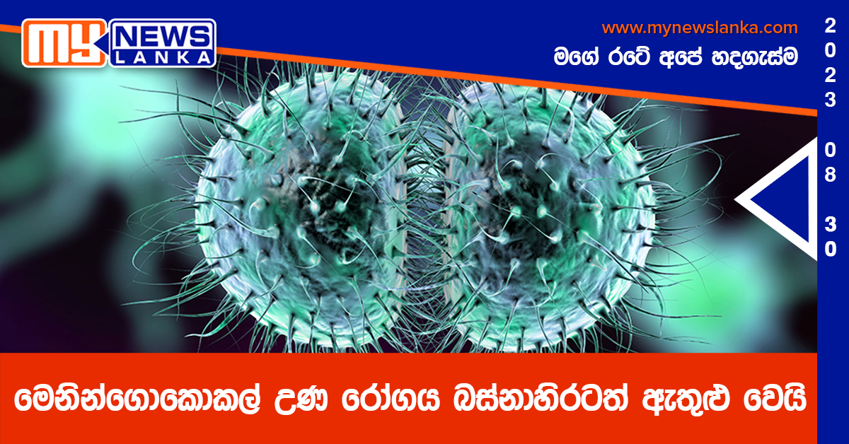 මෙනින්ගොකොකල් උණ රෝගය බස්නාහිරටත් ඇතුළු වෙයි මෙනින්ගොකොකල් උණ රෝගය බස්නාහිරටත් ඇතුළු වෙයි