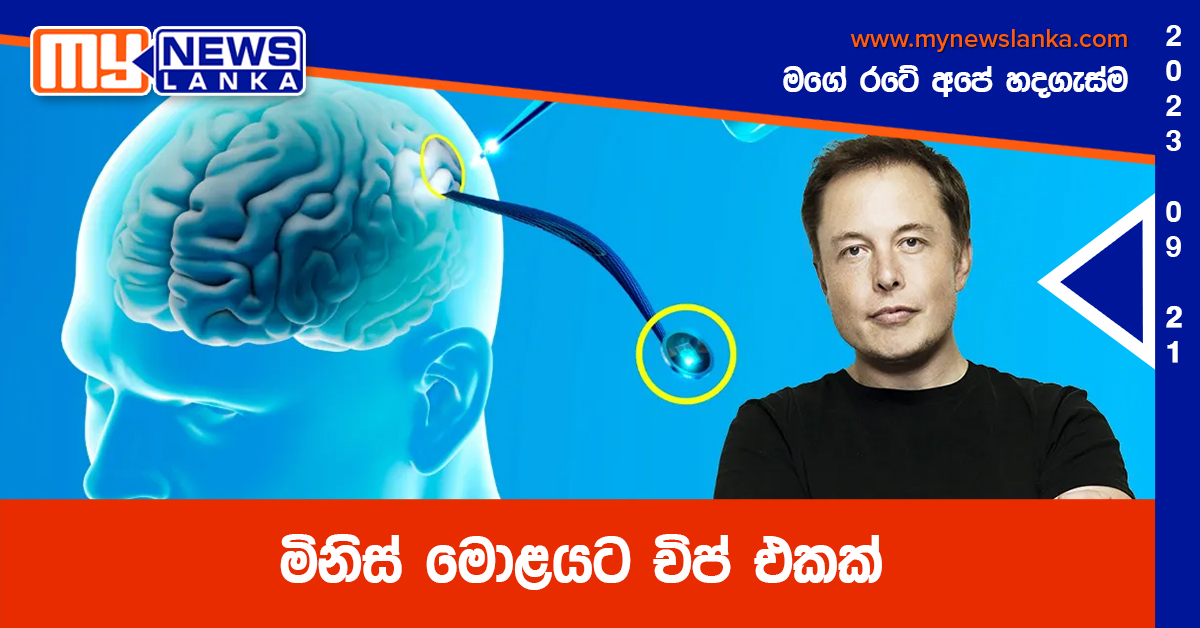 මිනිස් මොළයට චිප් එකක් මිනිස් මොළයට චිප් එකක්