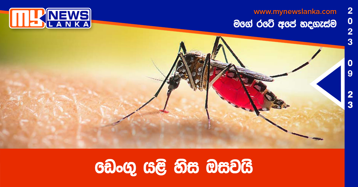 ඩෙංගු යළි හිස ඔසවයි ඩෙංගු යළි හිස ඔසවයි