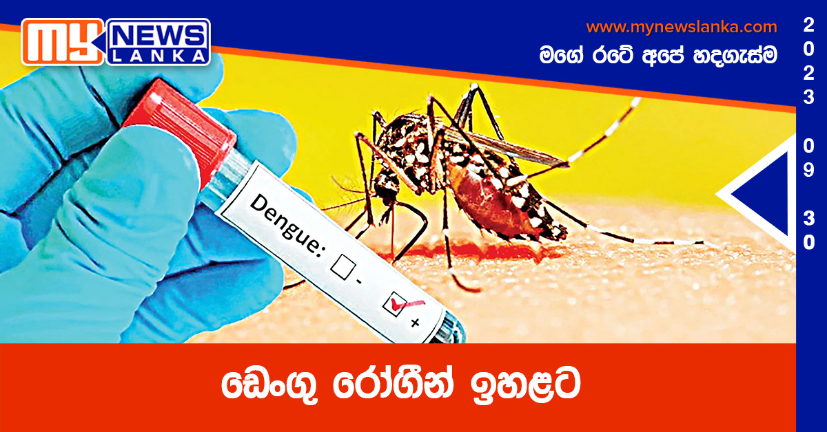 ඩෙංගු රෝගීන් ඉහළට ඩෙංගු රෝගීන් ඉහළට