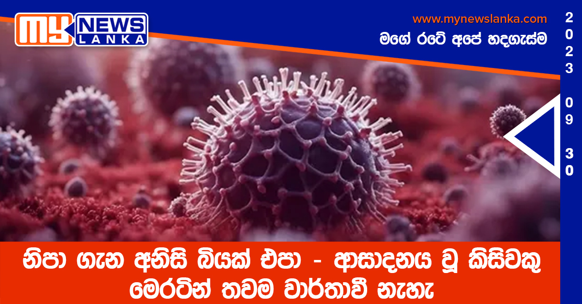 නිපා ගැන අනිසි බියක් එපා – ආසාදනය වූ කිසිවකු මෙරටින් තවම වාර්තාවී නැහැ – සෞඛ්ය අංශ නිපා ගැන අනිසි බියක් එපා – ආසාදනය වූ කිසිවකු මෙරටින් තවම වාර්තාවී නැහැ – සෞඛ්ය අංශ