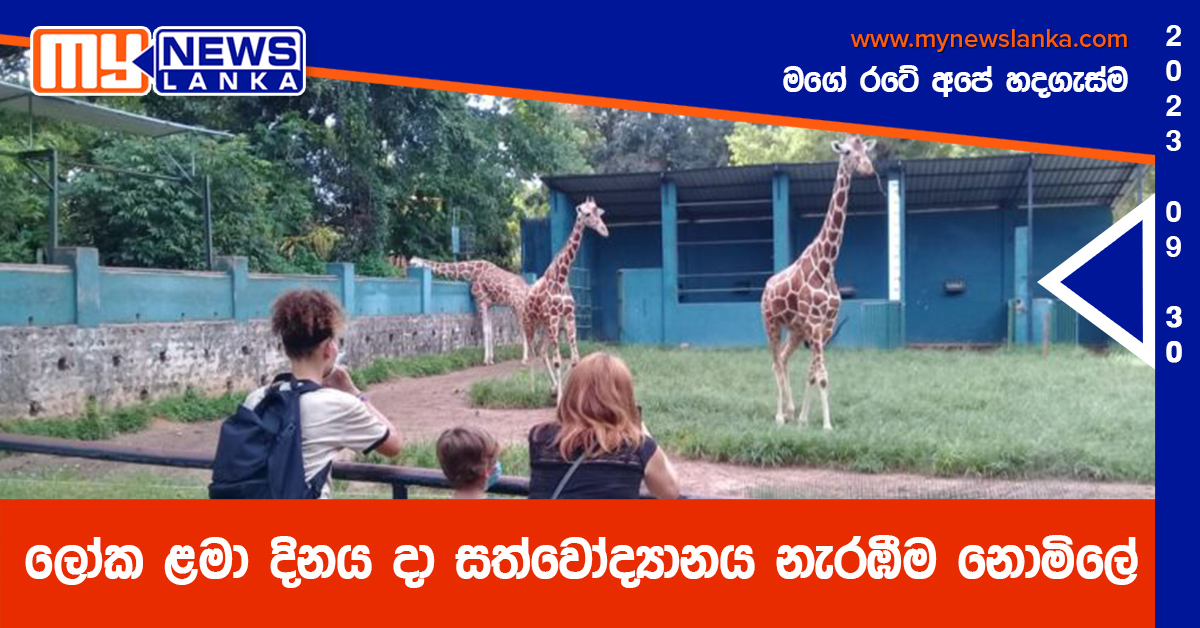 ලෝක ළමා දිනය දා සත්වෝද්යානය නැරඹීම නොමිලේ ලෝක ළමා දිනය දා සත්වෝද්යානය නැරඹීම නොමිලේ
