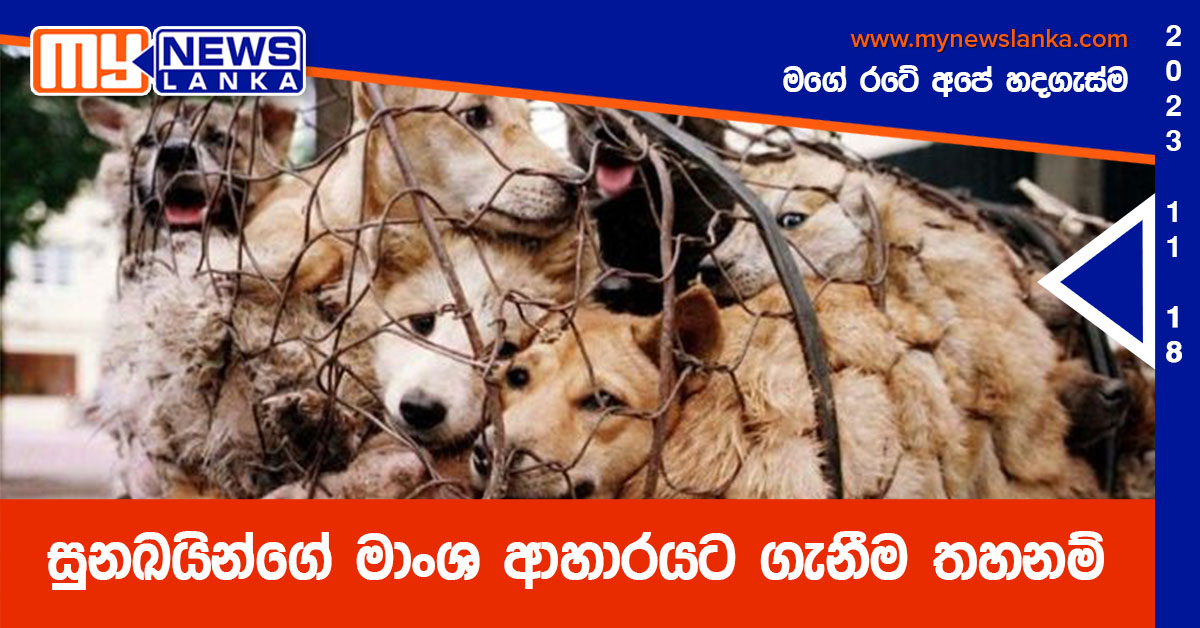 සුනඛයින්ගේ මාංශ ආහාරයට ගැනීම තහනම් සුනඛයින්ගේ මාංශ ආහාරයට ගැනීම තහනම්
