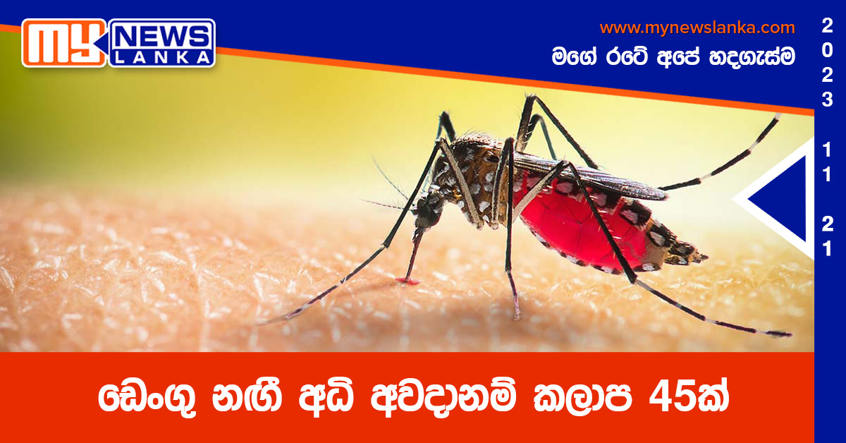 ඩෙංගු නඟී අධි අවදානම් කලාප 45ක් ඩෙංගු නඟී අධි අවදානම් කලාප 45ක්