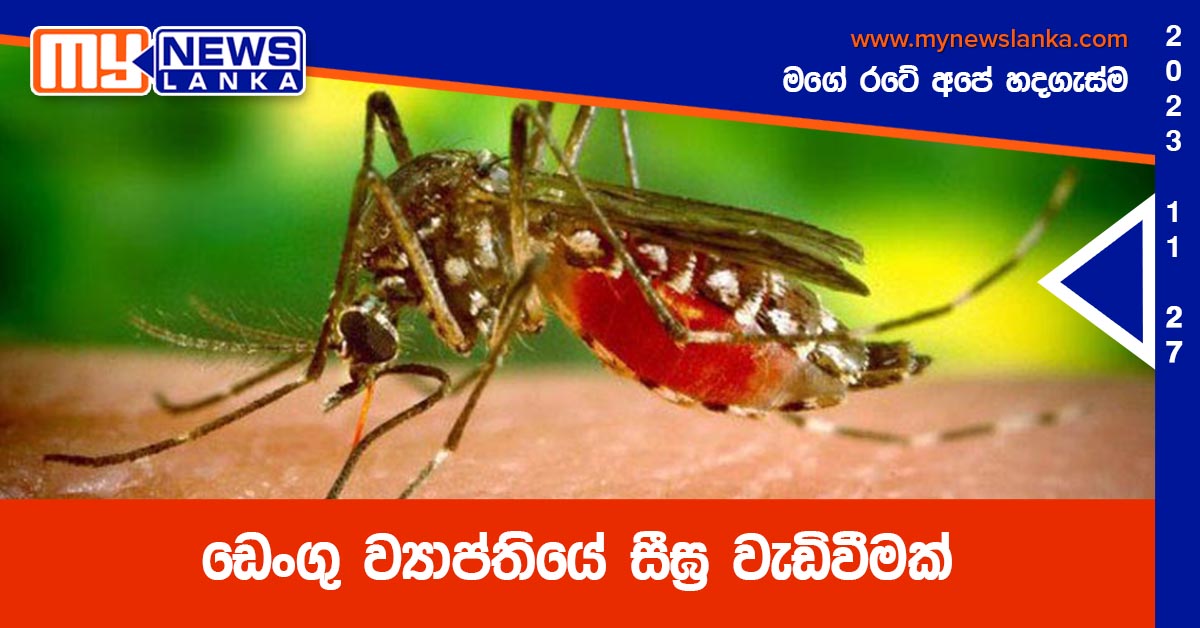 ඩෙංගු ව්යාප්තියේ සීඝ්ර වැඩිවීමක් ඩෙංගු ව්යාප්තියේ සීඝ්ර වැඩිවීමක්