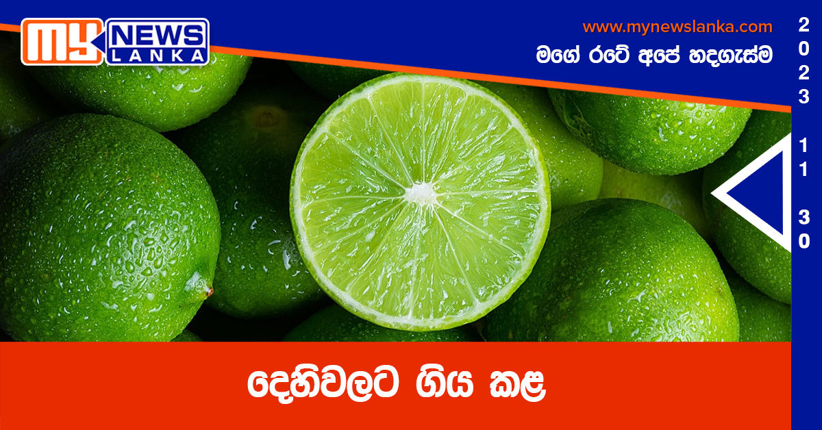 දෙහිවලට ගිය කළ