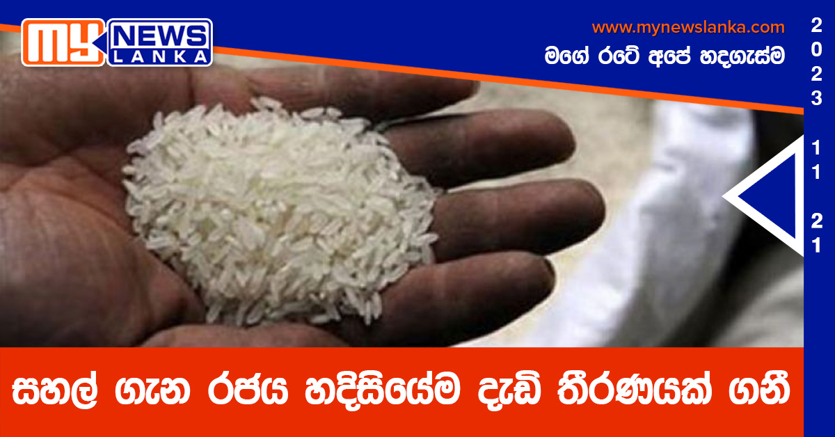 සහල් ගැන රජය හදිසියේම දැඩි තීරණයක් ගනී සහල් ගැන රජය හදිසියේම දැඩි තීරණයක් ගනී