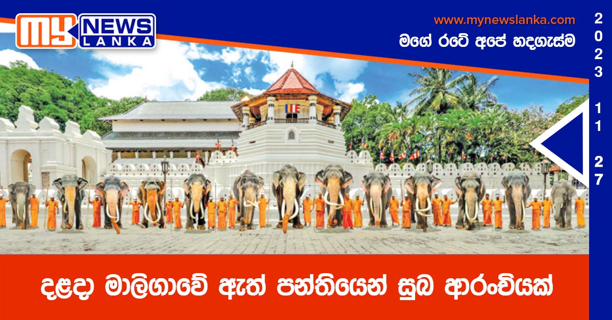 දළදා මාලිගාවේ ඇත් පන්තියෙන් සුබ ආරංචියක් දළදා මාලිගාවේ ඇත් පන්තියෙන් සුබ ආරංචියක්