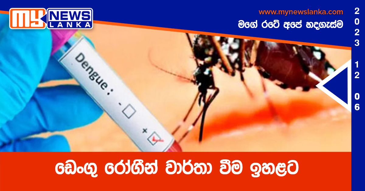 ඩෙංගු රෝගීන් වාර්තා වීම ඉහළට ඩෙංගු රෝගීන් වාර්තා වීම ඉහළට