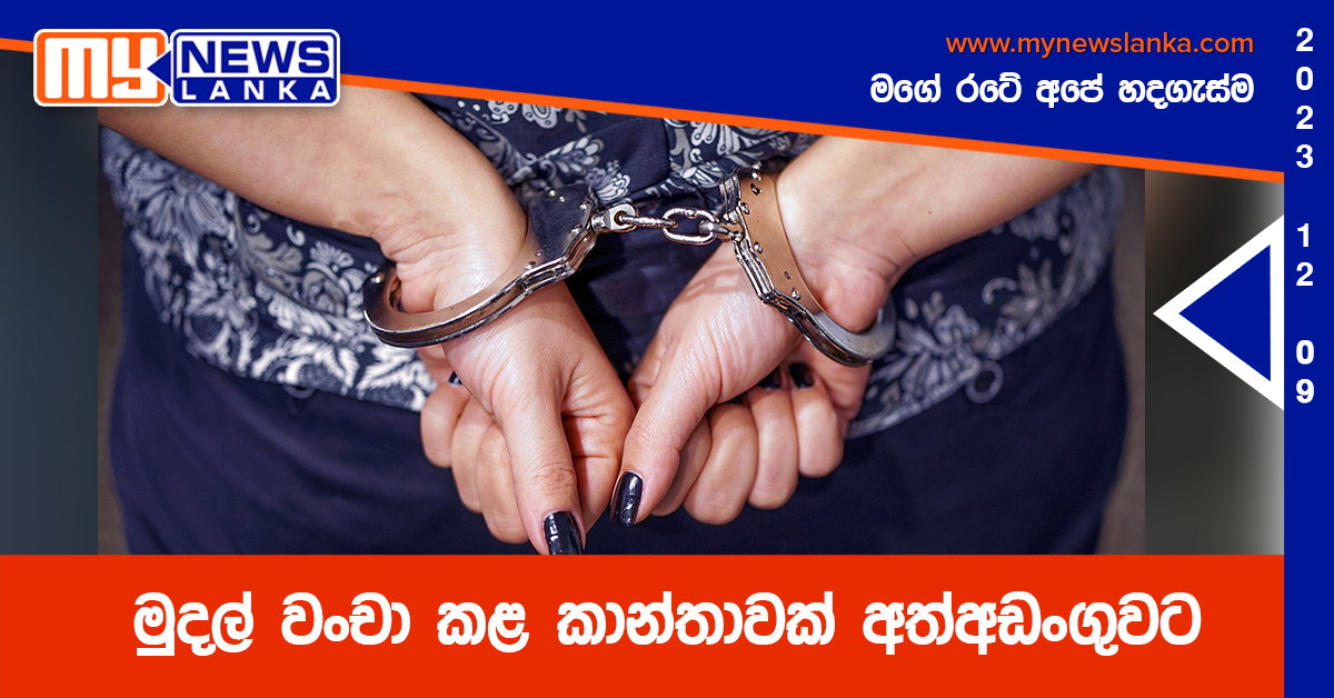 මුදල් වංචා කළ කාන්තාවක් අත්අඩංගුවට මුදල් වංචා කළ කාන්තාවක් අත්අඩංගුවට
