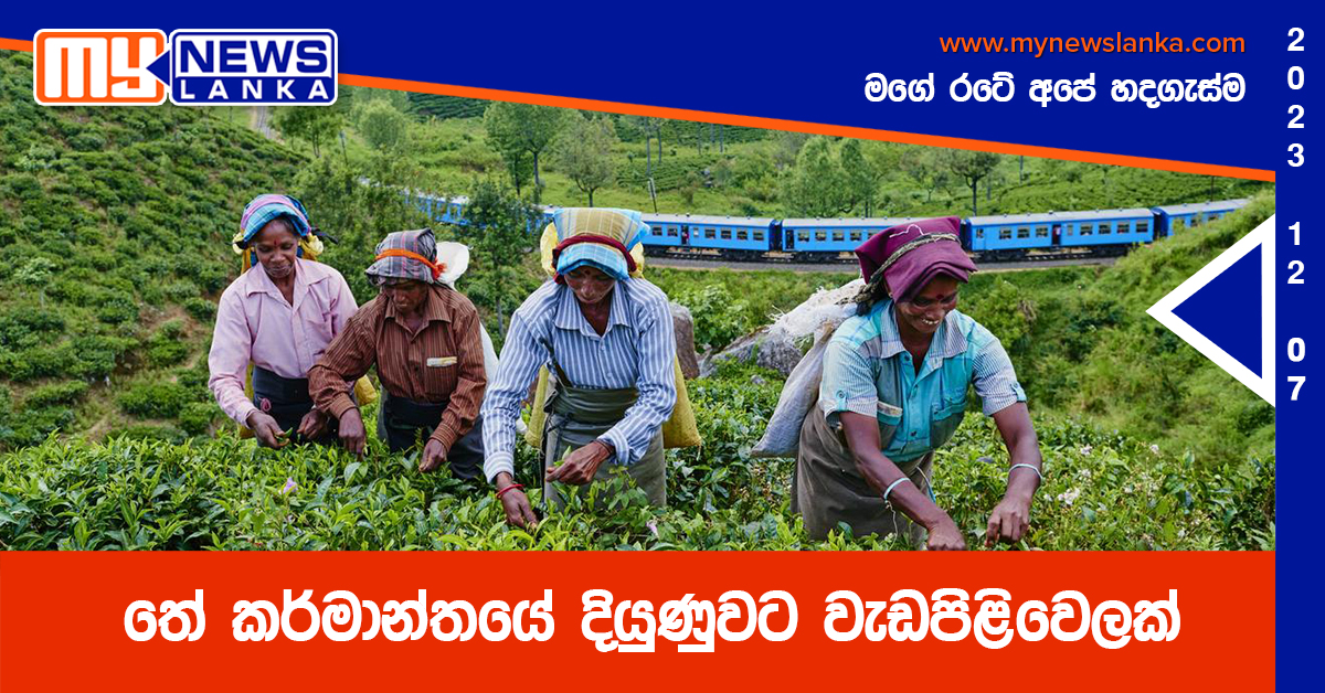 තේ කර්මාන්තයේ දියුණුවට වැඩපිිළිවෙලක් තේ කර්මාන්තයේ දියුණුවට වැඩපිිළිවෙලක්