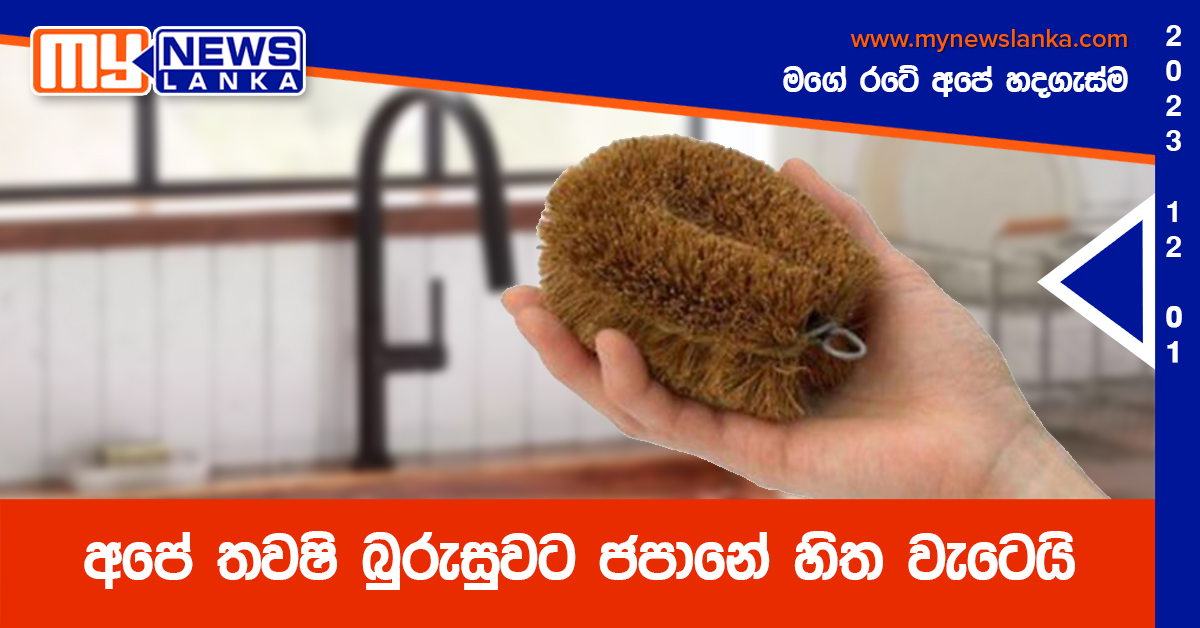 අපේ තවෂි බුරුසුවට ජපානේ හිත වැටෙයි අපේ තවෂි බුරුසුවට ජපානේ හිත වැටෙයි