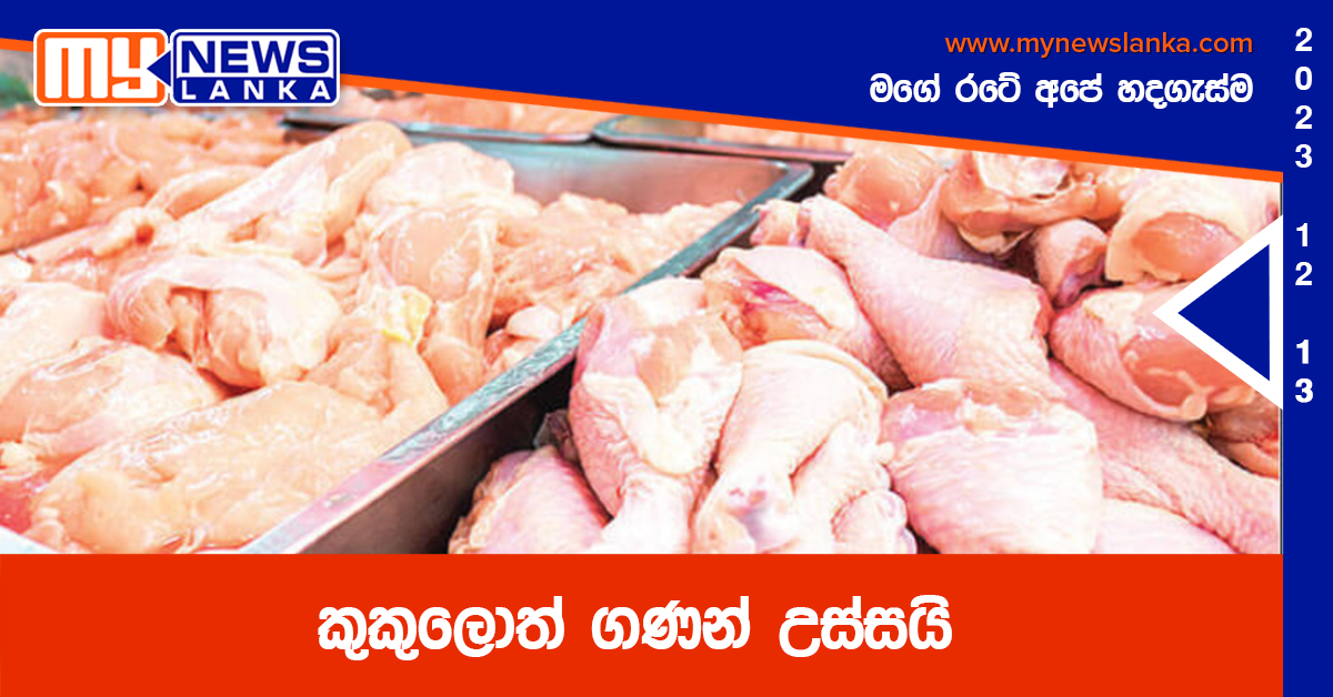කුකුලොත් ගණන් උස්සයි කුකුලොත් ගණන් උස්සයි