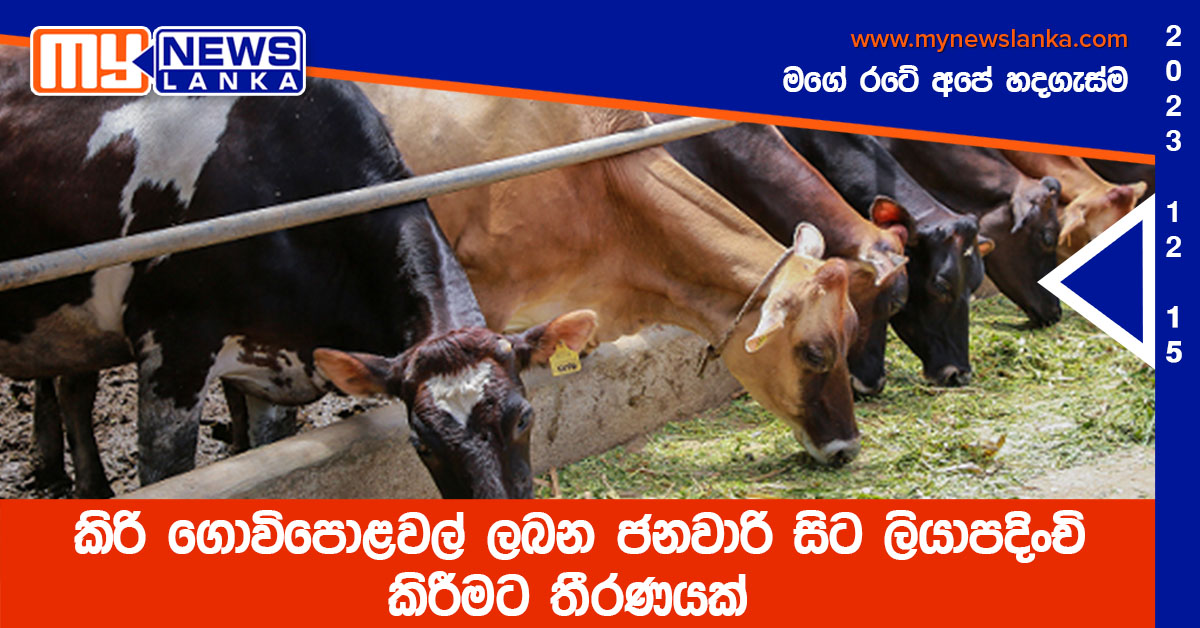 කිරි ගොවිපොළවල් ලබන ජනවාරි සිට ලියාපදිංචි කිරීමට තීරණයක් කිරි ගොවිපොළවල් ලබන ජනවාරි සිට ලියාපදිංචි කිරීමට තීරණයක්