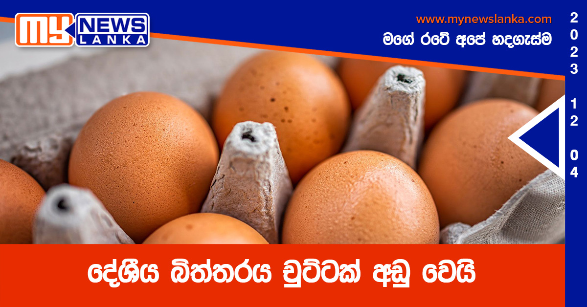 දේශීය බිත්තරය චුට්ටක් අඩුවෙයි දේශීය බිත්තරය චුට්ටක් අඩුවෙයි