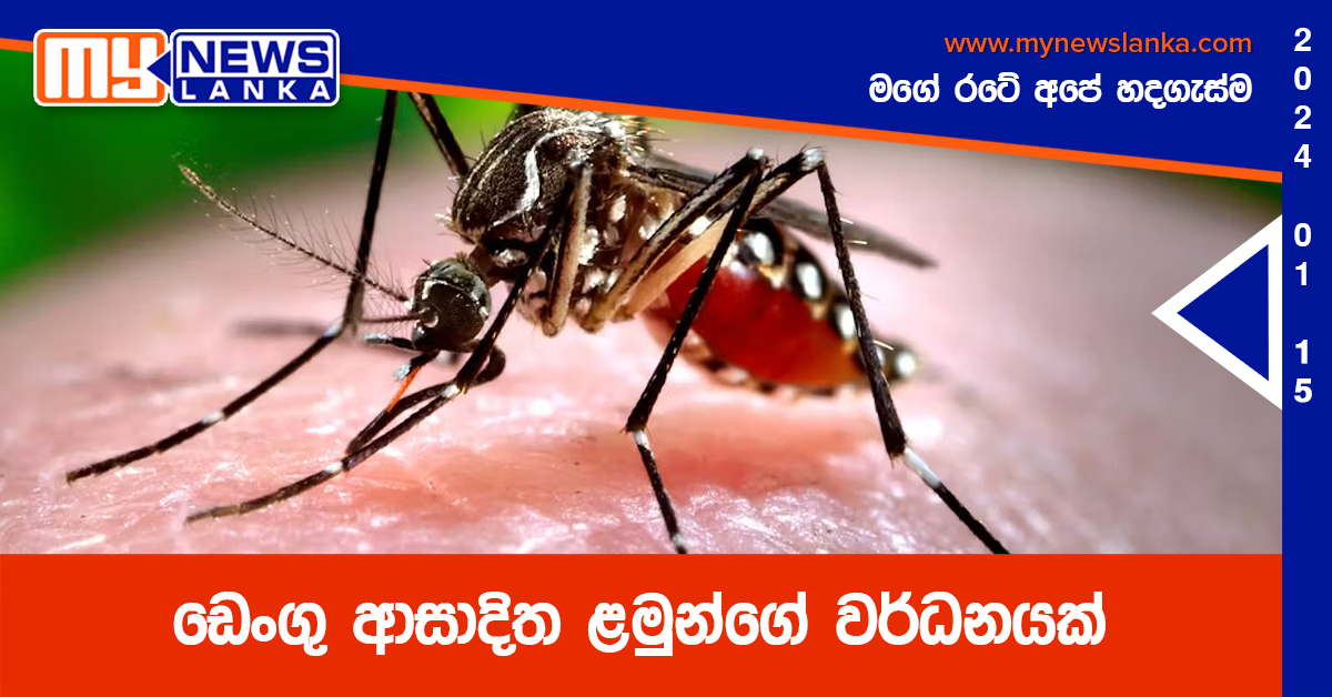 ඩෙංගු ආසාදිත ළමුන්ගේ වර්ධනයක් ඩෙංගු ආසාදිත ළමුන්ගේ වර්ධනයක්